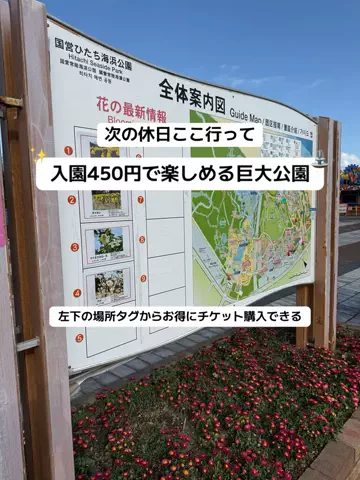 群馬発すー旅⌇旅と暮らしのTikTok投稿