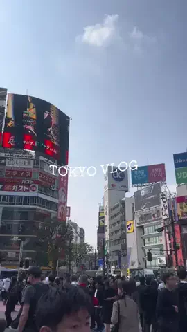 なみちゃん旅のTikTok投稿