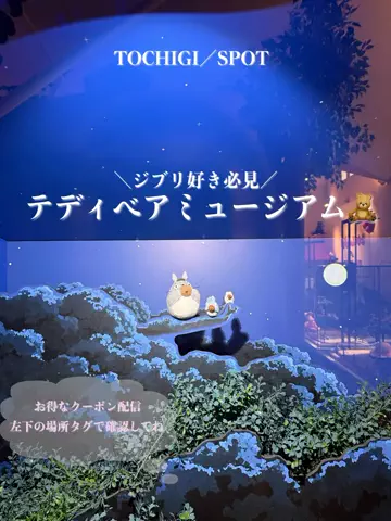 群馬発すー旅⌇旅と暮らしのTikTok投稿
