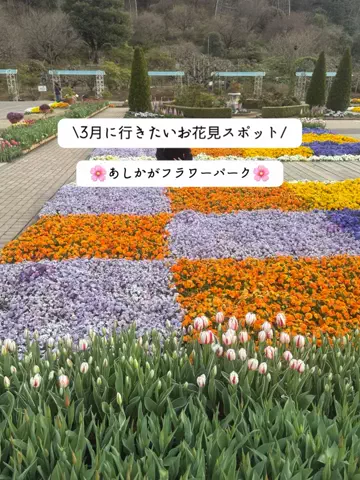 群馬発すー旅⌇旅と暮らしのTikTok投稿