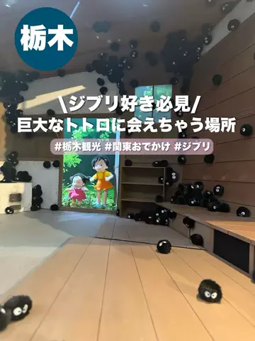 群馬発すー旅⌇旅と暮らしのTikTok投稿