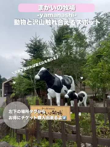 群馬発すー旅⌇旅と暮らしのTikTok投稿