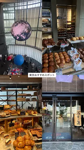なみちゃん旅のTikTok投稿