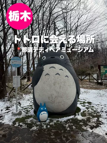 群馬発すー旅⌇旅と暮らしのTikTok投稿