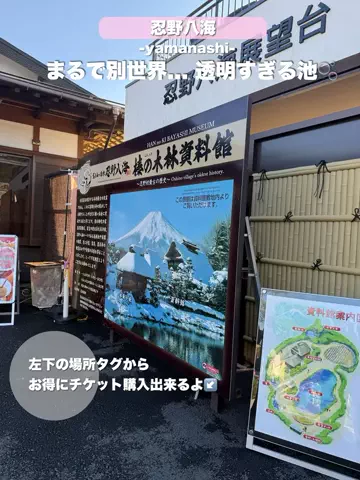 群馬発すー旅⌇旅と暮らしのTikTok投稿