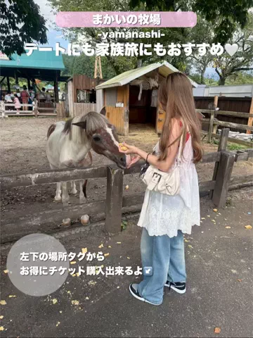 群馬発すー旅⌇旅と暮らしのTikTok投稿