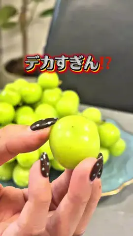 タカ|真似したくなる掃除術・便利グッズのTikTok投稿