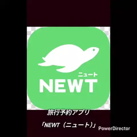 YusukeruioのTikTok投稿