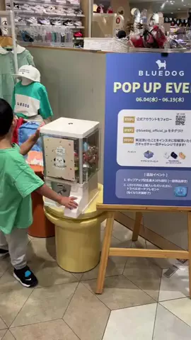 __oto.uta__のTikTok投稿