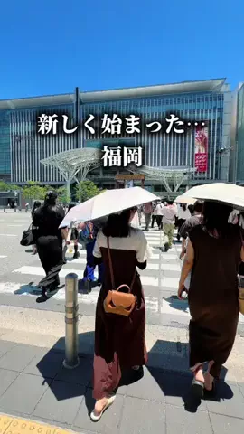さくら⌇福岡グルメのTikTok投稿