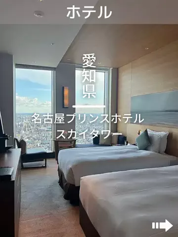 デンじょーの旅のTikTok投稿