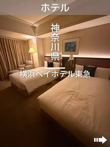 デンじょーの旅のTikTok投稿