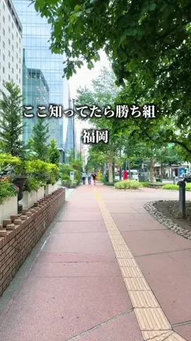 さくら⌇福岡グルメのTikTok投稿