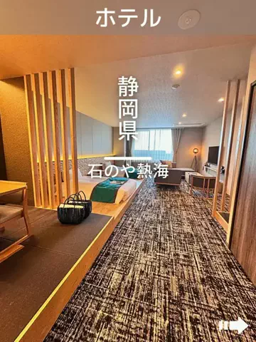 デンじょーの旅のTikTok投稿