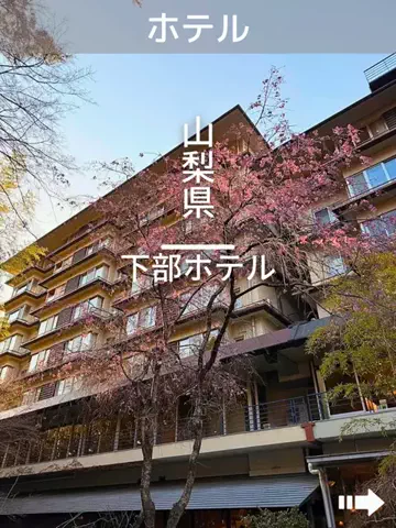 デンじょーの旅のTikTok投稿