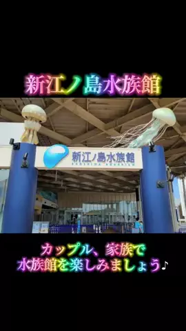 HaruoのTikTok投稿
