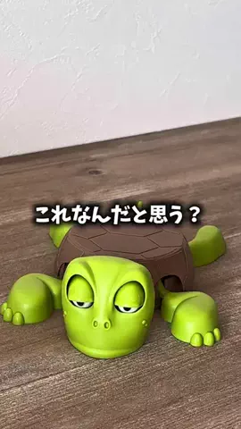 moe_akanukeのTikTok PR投稿：#PR #コースター