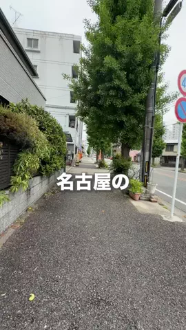 名古屋グルメ【ナゴグル】🍤のTikTok投稿
