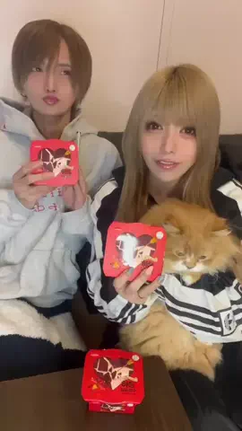 芹野莉奈 by キングラビッツ🐰👑のTikTok投稿