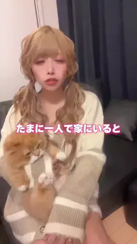 芹野莉奈 by キングラビッツ🐰👑のTikTok投稿