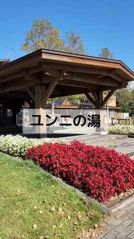 ホーリーゆうのTikTok PR投稿：#TikTokGO #PR #楽天トラベルキャンペーン #北海道