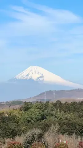 easai3のTikTok投稿