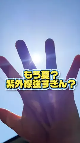 ぽんのおやつ図鑑のTikTok投稿
