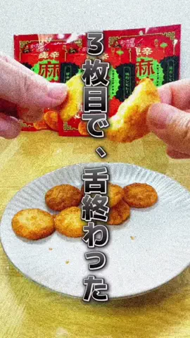 ぽんのおやつ図鑑のTikTok投稿