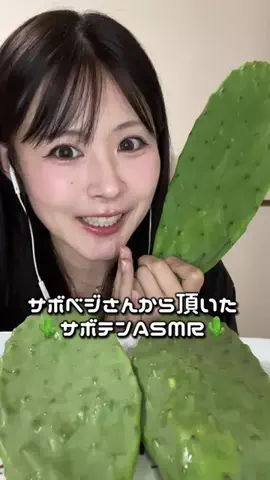 🫧吉蔵🫧ASMRのTikTok投稿
