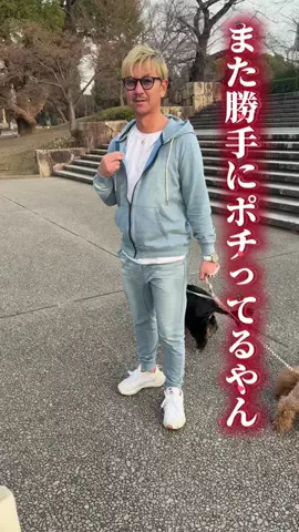 ケンエリちゃんねる♡のTikTok投稿