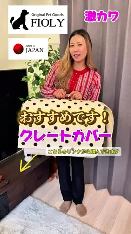 ケンエリちゃんねる♡のTikTok投稿