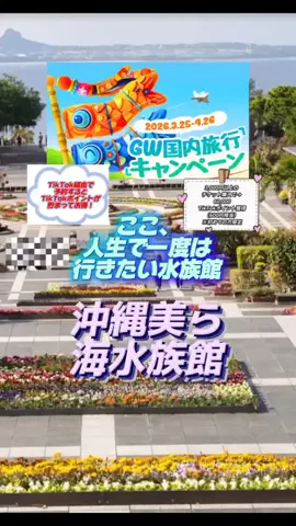👑マルプー Binta｜ホテル旅🐻‍ 旅とご褒美🛍️のTikTok投稿
