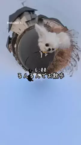 うみが食べるだけのTikTok投稿
