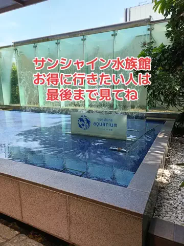 野良猫　イチくんとナナちゃんのTikTok投稿