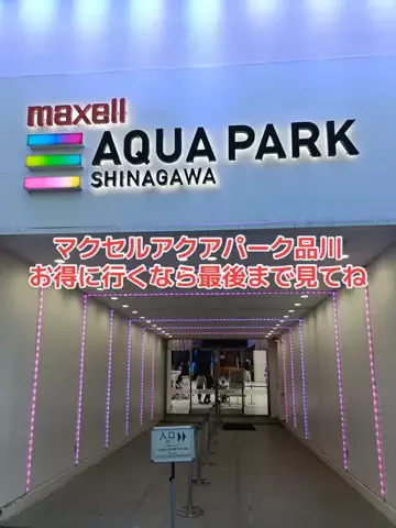 野良猫　イチくんとナナちゃんのTikTok投稿