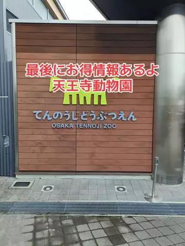 野良猫　イチくんとナナちゃんのTikTok投稿