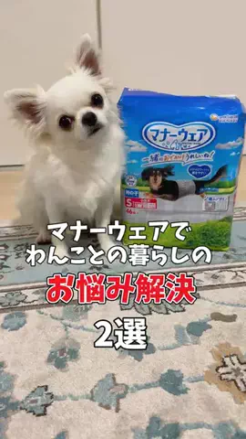 うみが食べるだけのTikTok投稿