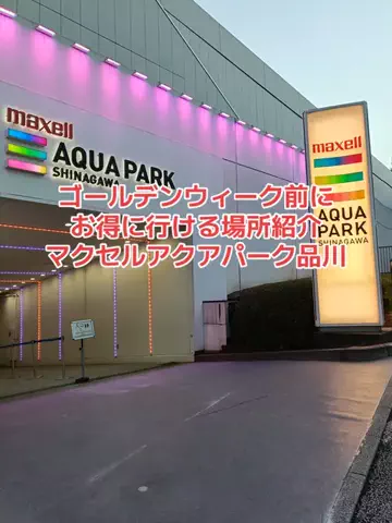 野良猫　イチくんとナナちゃんのTikTok投稿