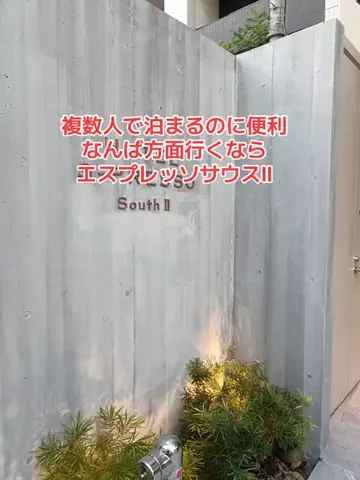 野良猫　イチくんとナナちゃんのTikTok投稿