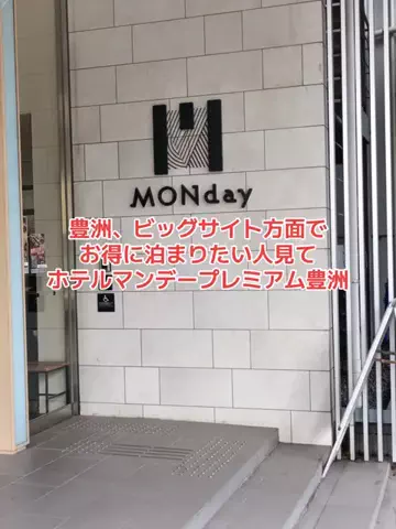 野良猫　イチくんとナナちゃんのTikTok投稿