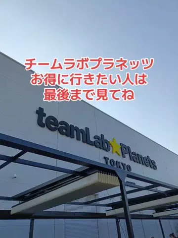 野良猫　イチくんとナナちゃんのTikTok投稿