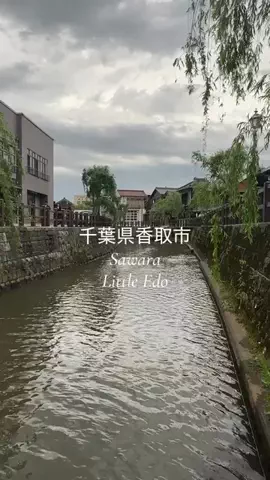 Jeanny Abigan HitosugiのTikTok投稿