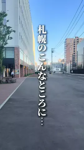 ぽろグルのTikTok投稿