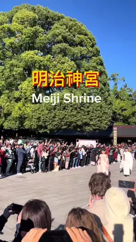shizukaのTikTok投稿