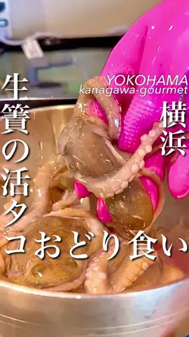 横浜グルメ/神奈川グルメ【公式】のTikTok投稿