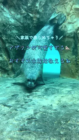 あみのTikTok投稿
