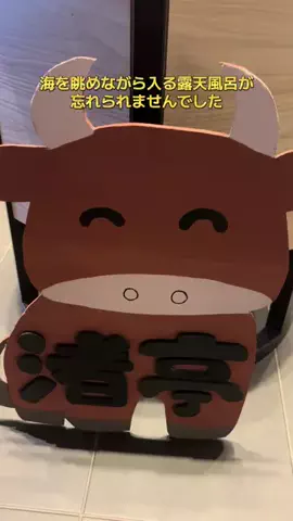 ポイけしき♨️宿図鑑のTikTok投稿