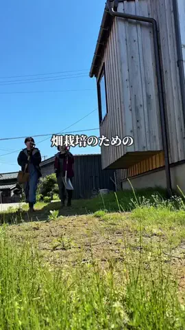 ぐまちゃん夫婦 | 家庭菜園と暮らしのTikTok投稿