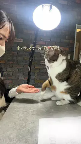 sayaka.pのTikTok投稿