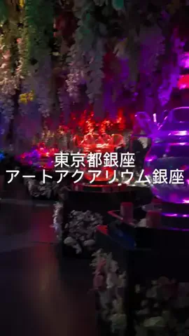 のぶ(スーパー旅行系クリエイター)のTikTok投稿